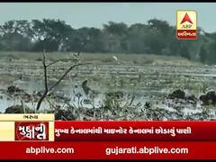 મુદ્દાની વાતઃ ભરૂચમાં કેનાલ તુટી જતાં પાણી ખેતરોમાં ઘૂસ્યા, ખેડૂતો પાયમાલ, જુઓ વીડિયો