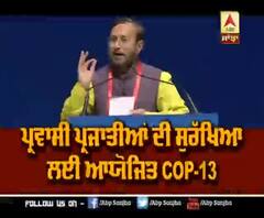 ਪ੍ਰਵਾਸੀ ਪ੍ਰਜਾਤੀਆਂ ਦੀ ਸੁਰੱਖਿਆ ਲਈ ਆਯੋਜਿਤ COP-13