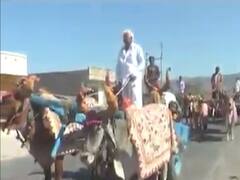 પોરબંદરમાં અનોખા લગ્નઃ પરંપરાગત લગ્ન બન્યા આકર્ષણનું કેન્દ્ર, જુઓ વીડિયો