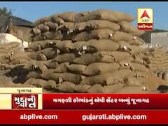 મુદ્દાની વાતઃ મગફળીના જથ્થા સાથે છેડછાડ, જુઓ અહેવાલ