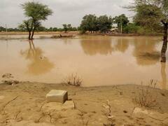 પાટણના સાંતલપુરમાં કેનાલ ઓવરફ્લો, ખેતરમાં ફરી વળ્યા પાણી, જુઓ વીડિયો