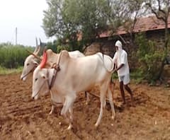 Farmers Loan Waiver | शेतकरी कर्जमाफीची दुसरी यादी जाहीर, 2 लाख 98 हजार शेतकऱ्यांचं कर्ज माफ