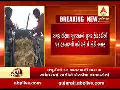 દક્ષિણ ગુજરાતના શેરડીના કામદારોએ 28મીએ હડતાળ પર ઉતરી જવાની ચિમકી આપી, બોલ્યા- મજૂરીનો દર વધારો.........