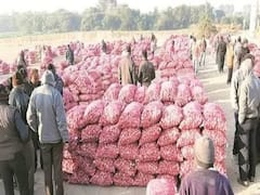 રાજકોટ માર્કેટ યાર્ડ વિવાદઃ કમિશન એજન્ટના પ્રમુખ-ઉપપ્રમુખનું રાજીનામું, જુઓ વીડિયો