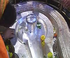 Mahashivratri | महाशिवरात्रीनिमित्त भीमाशंकर मंदिर सजलं, मंदिराला फुलांची आकर्षक सजावट