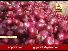 ભાવનગર: ડુંગળીના ભાવ ગગડ્યા, ખેડૂતોને કસ્તૂરીએ ફરી રડાવ્યા, જુઓ મુદ્દાની વાત 