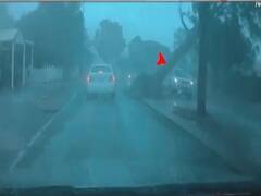 Watch top viral news of the world