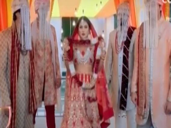 Paras Chabra and Shehnaz Gill's 