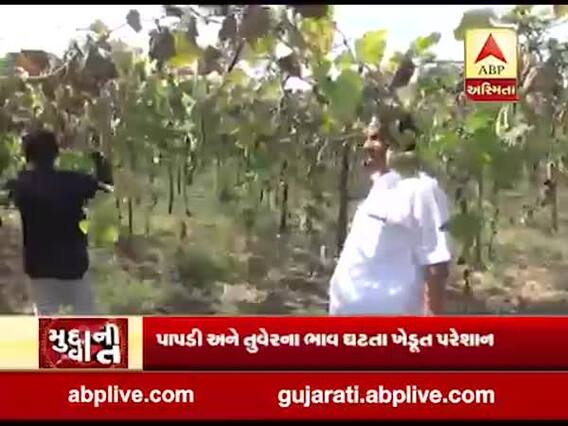 સુરત: પાપડી અને તુવેરના ભાવ ઘટતા ખેડૂત પરેશાન, જુઓ વીડિયો