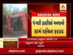 રાજકોટઃપ્રદ્યુમન પાર્કના ઝૂમાં ઘૂસેલા દીપડાએ કર્યું હરણનું મારણ, જુઓ વીડિયો