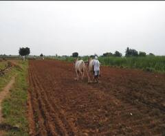 Loan Waiver | शेतकरी कर्जमुक्तीची पहिली यादी 15 फेब्रुवारी रोजी जाहीर होणार | ABP Majha