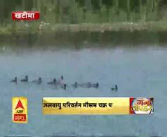 अब तक नहीं लौटे साइबेरियन पक्षी