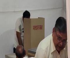 APMC Election | नवी मुंबई एपीएमसी निवडणूक : आघाडी विरुद्ध भाजप थेट लढत | ABP Majha 