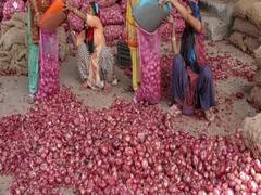 150 રૂપિયે કિલો વેચાતી ડુંગળીના ભાવ તળીયે,  જુઓ વીડિયો