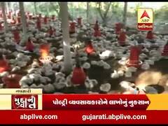 મુદ્દાની વાતઃ કોરોના વાયરસની અસર પોલ્ટ્રી વ્યવસાય પર, જુઓ અહેવાલ 