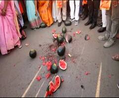 Rural News | जळगावात फडणवीसांच्या निषेधासाठी टरबूज फोडले | माझं गाव माझा जिल्हा | ABP Majha