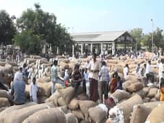 મુદ્દાની વાતઃ અમરેલીમાં દીપડા બાદ હવે સિંહનો આતંક, પાંચ વર્ષના બાળકનો સિંહણે શિકાર કર્યો, જુઓ વીડિયો