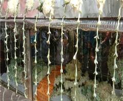 বাড়িতে পৌছাল ঋষভের নিথর দেহ, শোকস্তব্ধ পরিবার, জড়ো হয়েছেন দূরদূরান্তের মানুষ