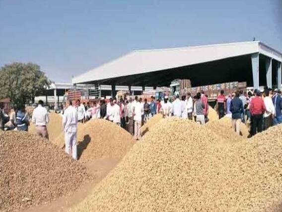 જૂનાગઢ મગફળી કૌભાંડઃ LCBને સોંપાઇ તપાસ, અજાણ્યા શખ્સો સામે ફરિયાદ