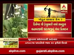 સુરત: શાકભાજીના ભાવ ન મળતા ઓલપાડના ખેડૂતો શું કહી રહ્યાં છે ? જુઓ વીડિયો