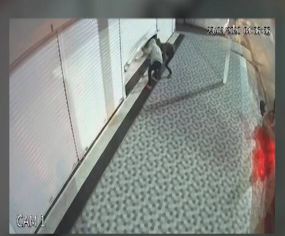 Pimpri Robbery | पिंपरी-चिंचवडमध्ये दुकानात चोरी, शटर तोडून चोरांचा दानपेटीवर डल्ला, तीन सेकंदात उघडलं शटर
