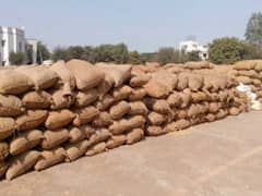 જૂનાગઢમાં મગફળી કૌભાંડ સામે આવતાં ખેડૂતોમાં ભારે રોષ, જુઓ વીડિયો