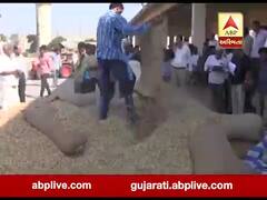 મગફળીના ટેકાના ભાવની મુદત વધારવા મામલે કિસાન સંઘે માંગ કરી, જુઓ વીડિયો