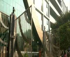 দিল্লিতে বিধানসভা ভোটের ২ দিন আগে সিবিআইয়ের হাতে গ্রেফতার উপ মুখ্যমন্ত্রীর ওএসডি