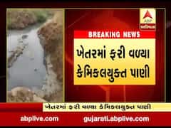 સુરત: કોસંબા નજીક મહુવેજના ખેતરમાં કેમિકલયુક્ત પાણી ફરી વળતા પાકને નુકસાનની આશંકા, જુઓ વીડિયો 