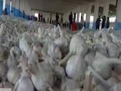 Garlic sauce & powder hazardous to health? | Ghanti Bajao