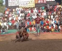 Rural News | शिवजयंतीनिमित्त भिवंडीत कुस्ती स्पर्धेचं आयोजन | माझं गाव माझा जिल्हा | ABP Majha