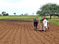 પાક વીમો ન મળતા કેશોદના ખેડૂતોમાં ભારે રોષ, જુઓ વીડિયો