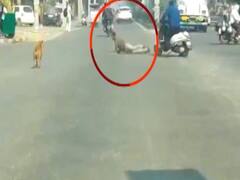 Sonipat: खट्टर राज में घिसटता 'कानून', सड़क पर वर्दीवाले से गुंडागर्दी | ABP Special