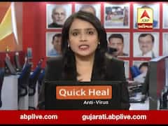 અમરેલીઃ ધારી-ગીર પૂર્વમાં બે સિંહણના મોત, વન વિભાગે હાથ ધરી તપાસ