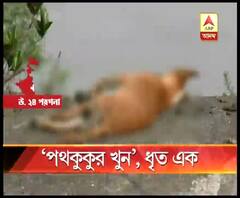 ৪টি পথকুকুরকে বিষ খাইয়ের মারার অভিযোগ, বসিরহাটে গ্রেফতার ১