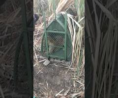 Smart Bulletin | स्मार्ट बुलेटिन | 04 फेब्रुवारी 2020 | मंगळवार | ABP Majha