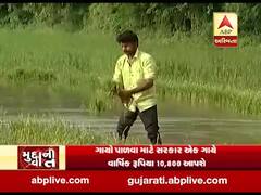 મુદ્દાની વાતઃ બજેટમાં ખેડૂતો માટે શું શું કરવામાં આવી જાહેરાત? જુઓ અહેવાલ