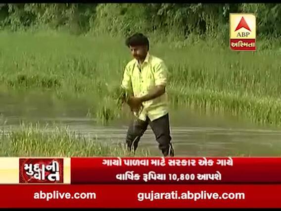 મુદ્દાની વાતઃ બજેટમાં ખેડૂતો માટે શું શું કરવામાં આવી જાહેરાત? જુઓ અહેવાલ