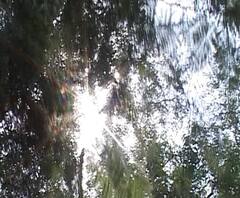 Mumbai Temperature | मुंबईच्या तापमानात बदल; सकाळची थंडी गायब होण्याची शक्यता | ABP Majha