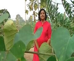 VLOG Sheetal Amte | 'आनंदवना'तील कृत्रिमरित्या जंगल निर्मितीचा प्रयोग | ABP Majha