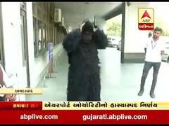 અમદાવાદ એરપોર્ટ પર વાંદરા ભગાડવા કર્મચારી બન્યા રિંછ, જુઓ વીડિયો