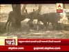 મુદ્દાની વાતઃ રાજકોટ, પ્રદ્યુમનપાર્કમાં હરણને ફાડી ખાનારો દીપડો આખરે પાંજરે પુરાયો, જુઓ વીડિયો