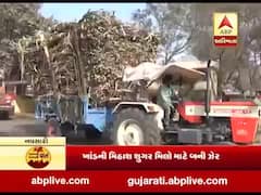 ગામની વાત, કામની વાત: દક્ષિણ ગુજરાતની 13 સુગર મીલમાં શેરડીનું રેકોર્ડબ્રેક પીલાણ થવા છતાં મુખ્ય ત્રણ મિલમાં ઘટ્યું ખાંડનું ઉત્પાદન, જુઓ વીડિયો 