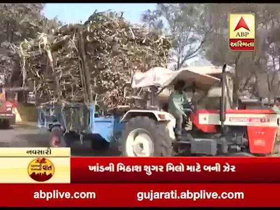 ગામની વાત, કામની વાત: દક્ષિણ ગુજરાતની 13 સુગર મીલમાં શેરડીનું રેકોર્ડબ્રેક પીલાણ થવા છતાં મુખ્ય ત્રણ મિલમાં ઘટ્યું ખાંડનું ઉત્પાદન, જુઓ વીડિયો 