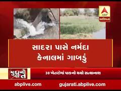 મુદ્દાની વાતઃ કેનાલમાં ભંગાણ થતાં વડોદરાના 30 ખેતરોમાં પાકનો સત્યાનાશ, જુઓ અહેવાલ