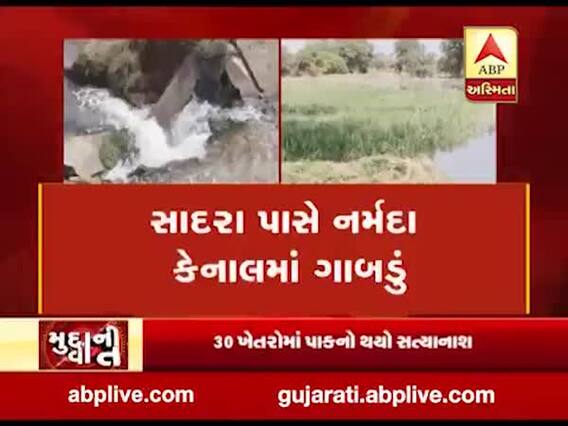 મુદ્દાની વાતઃ કેનાલમાં ભંગાણ થતાં વડોદરાના 30 ખેતરોમાં પાકનો સત્યાનાશ, જુઓ અહેવાલ