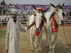 પાટણના ખેડૂતો KCC સ્કીમને લઈને મુકાયા અસમંજસમાં, જુઓ વીડિયો