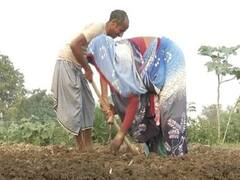 મોદી સરકારની કિસાન સન્માન નિધી યોજનાથી ગુજરાતના 3 લાખ જેટલા ખેડૂતો વંચિત, નથી મળી સહાય, જુઓ વીડિયો