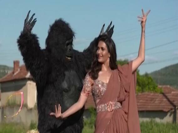 Karishma Tanna dances with a 'Gorilla'!