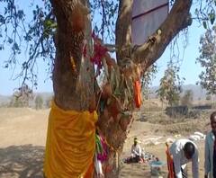 Bhegadi Deool | अमरावतीमधील भेगडीत 'देऊळ' चित्रपटाची पुनरावृत्ती | ABP Majha